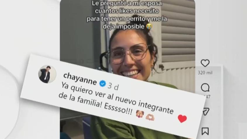 ¿Un perrito a cambio de likes? Chayanne responde a viral chileno y conmociona las redes