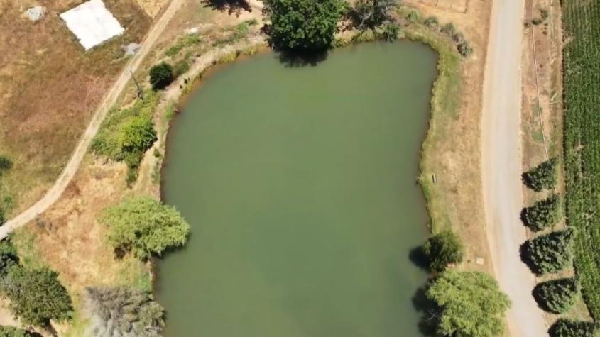 Polémica por expropiación de terrenos en Villa Baviera