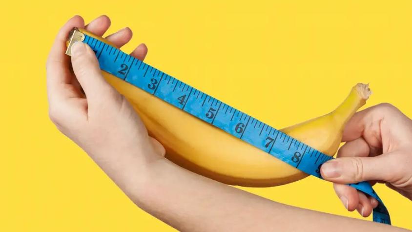 El tamaño del pene sí importa: nuevo estudio explica por qué El tamaño del pene sí importa: nuevo estudio explica por qué