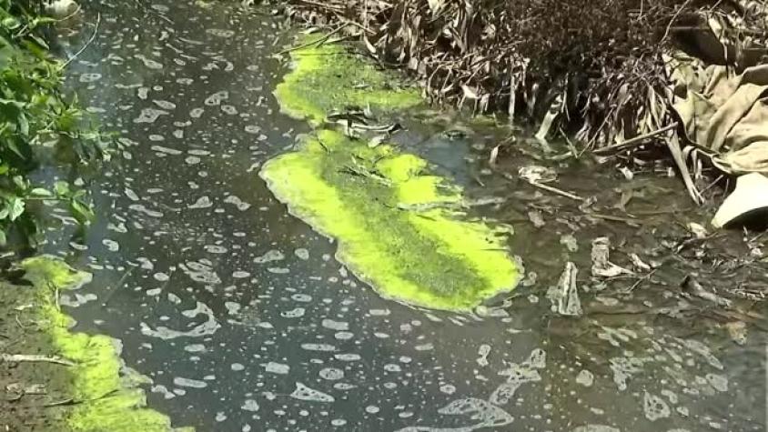 Qué dijo la Seremi tras grave caso de aguas servidas en Horcón