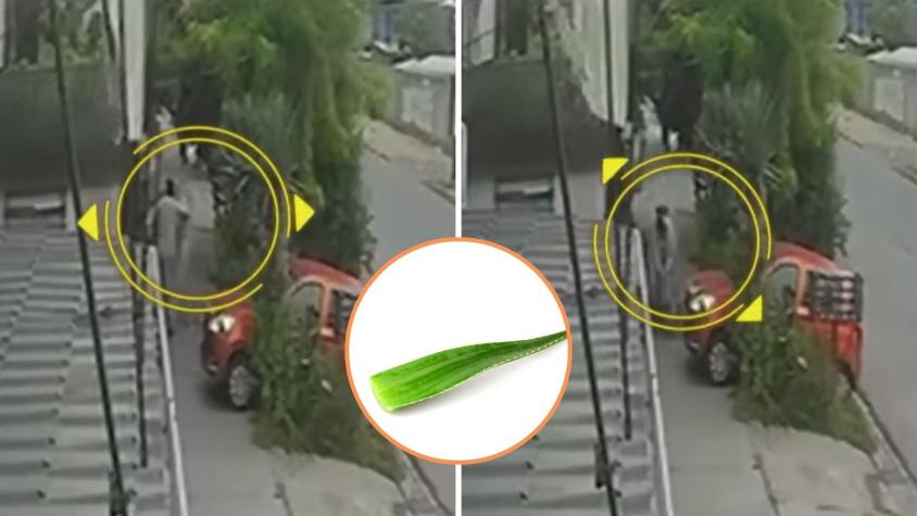 Mujeres sacaron aloe vera de su vecino y recibieron brutal golpiza en Puente Alto: víctima de 78 años terminó con fracturas