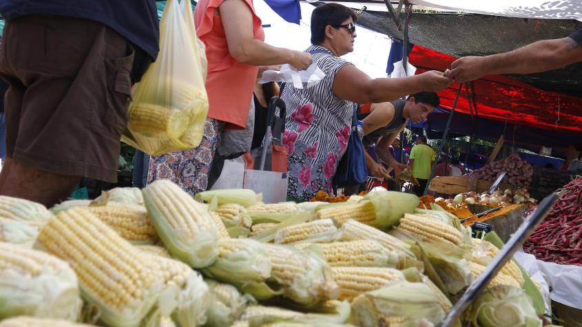 Pastel, humitas, porotos: El choclo vive su mejor momento de la temporada
