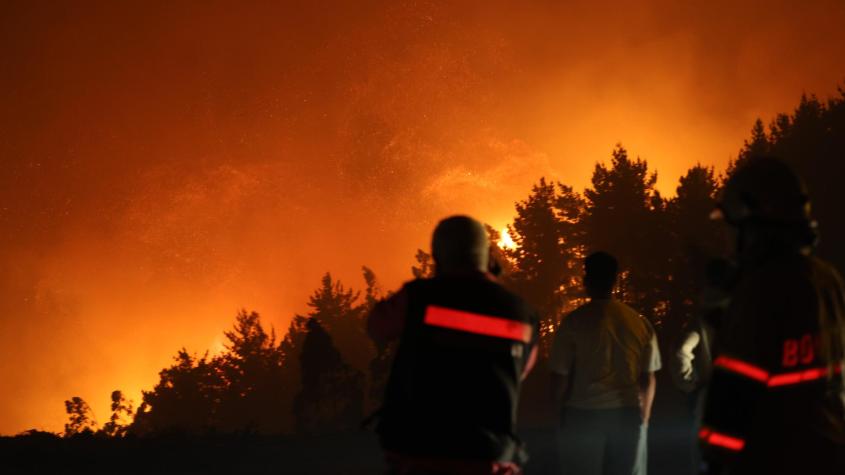 Empresas forestales paralizan faenas en Ñuble y Biobío y destinan recursos a combatir incendios