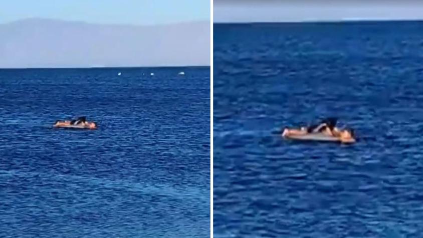 Carabinero rescata a familia en playa de Mejillones: fueron arrastrados por las olas tras subirse a colchón inflable