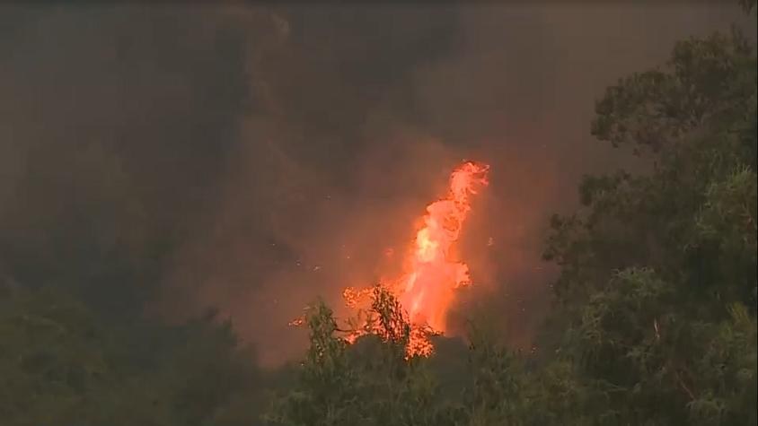 Arriesga 20 años de cárcel: Acusado de provocar incendio forestal era un bombero y brigadista de Conaf