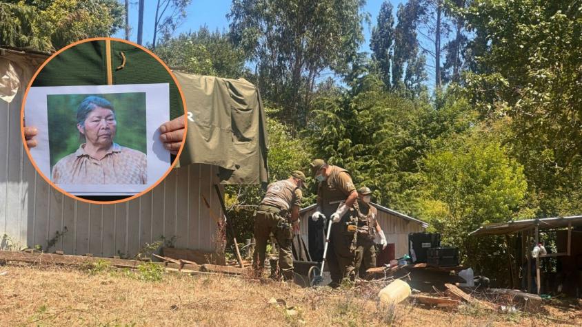 Excavaciones en casa de Julia Chuñil: detectan anomalías en una de las bodegas de la comunera