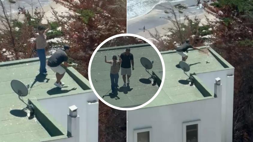 Indignación por video en Maitencillo: registran a sujetos arrojando polluelos de gaviota al vacío