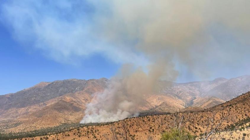 Humo ya llegó a Santiago: Combaten incendio forestal de gran magnitud en Tiltil
