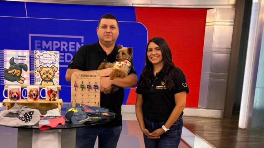 Cadena de Emprendedores: Perrilook apunta al bienestar de las mascotas