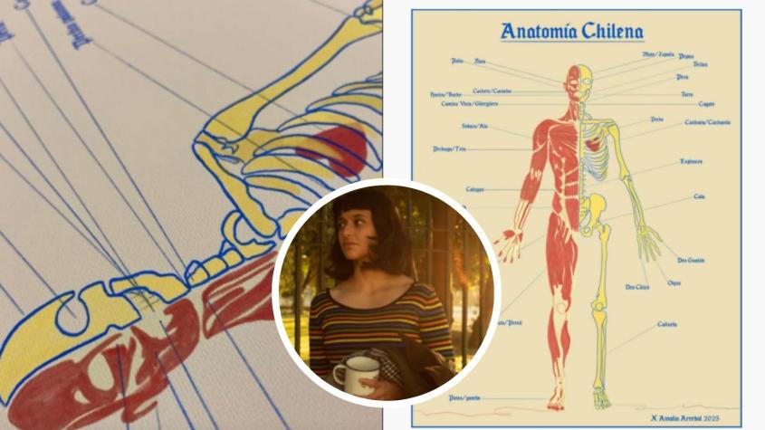 Dibujante se viraliza al renombrar partes del cuerpo con modismos chilenos: "Y pensar que aún la RAE no reconoce nuestro dialecto"