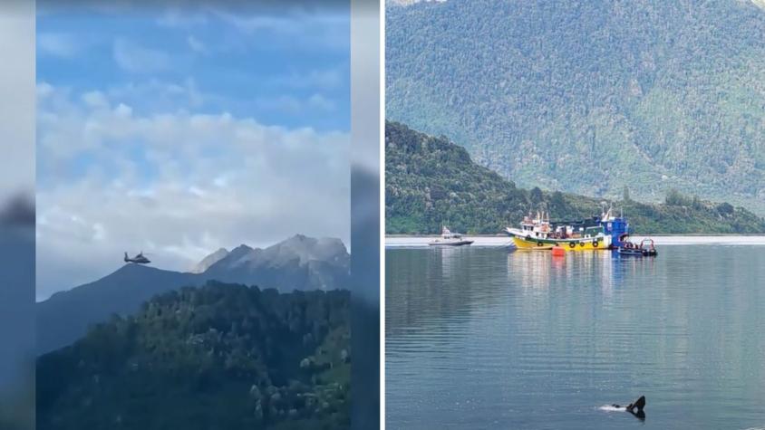 Rescatan cuerpo de uno de los tripulantes desaparecido tras hundimiento en Estuario de Reloncaví: siguen 5 desaparecidos