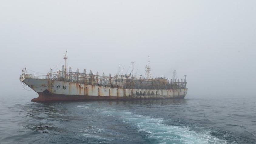 Flotas chinas en el Pacífico Sur: Operación sobre límite de las 200 millas reabre debate por la jibia y la regulación chilena