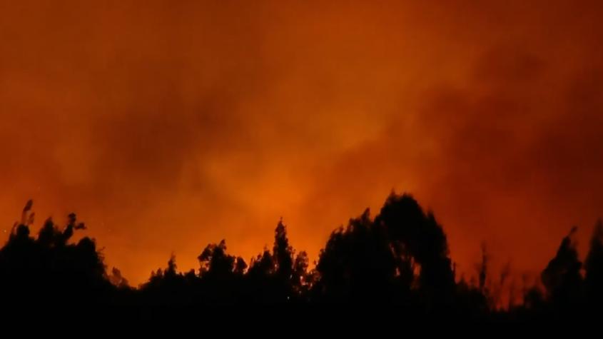 Alerta Roja para Concón y Limache: Incendio arrasa 140 hectáreas y obliga a evacuar al menos 50 personas
