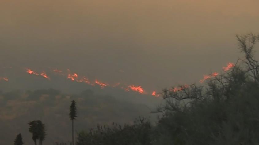 Activan alertas SAE por incendios descontrolados en Concón y Limache
