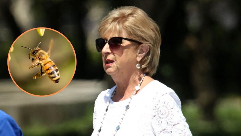 A raíz de urgencia de Marta Larraechea: las señales de alerta en que picadura de abeja puede terminar en paro cardíaco