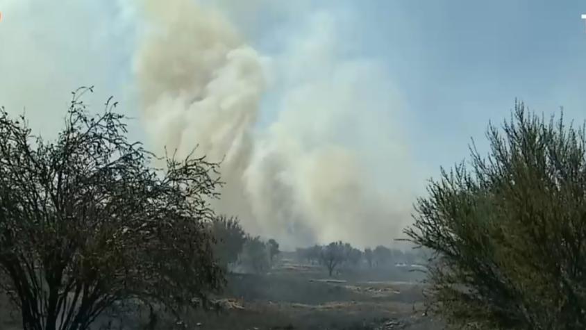 Reportan incendio forestal en la comuna de Lampa