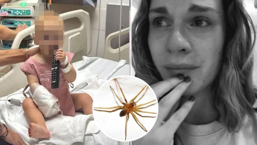 Tanza Varela descarta que su hija haya sido picada por araña de rincón: ¿Cómo reconocerlas y qué hacer si te muerde una? Tanza Varela descarta que su hija haya sido picada por araña de rincón: ¿Cómo reconocerlas y qué hacer si te muerde una?