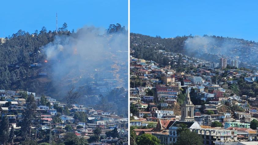 Controlan incendio forestal en Valparaíso: habían solicitado evacuar sector “Miguel Ángel Alto”