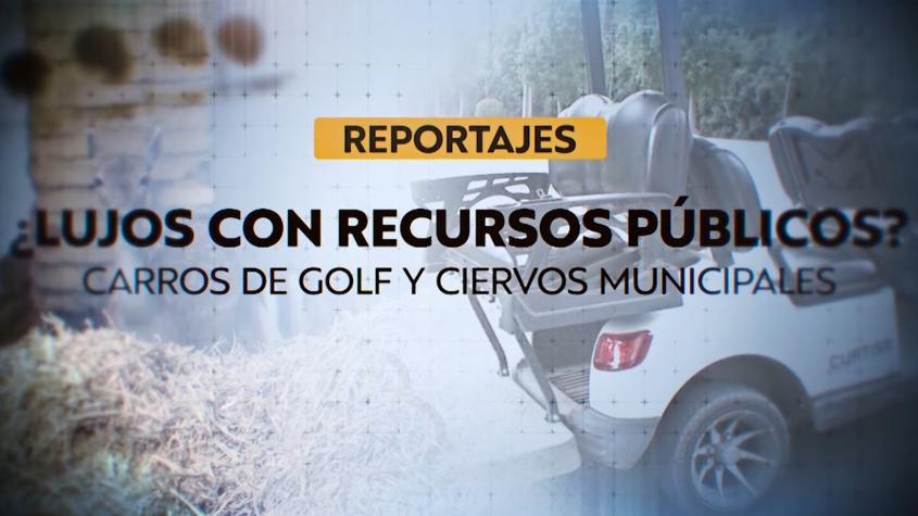 Reportajes T13 | Lujos con recursos públicos: carros de golf y ciervos municipales