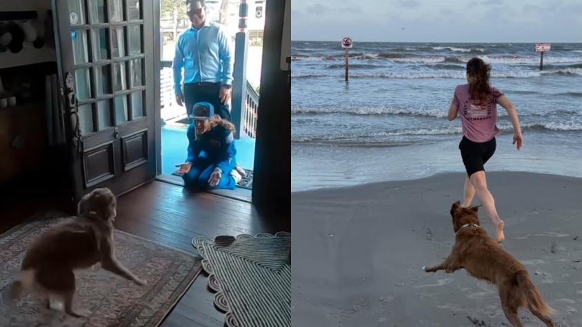 VIDEO | El conmovedor momento en que astronauta del Artemis II se reencontró en casa con su perrita