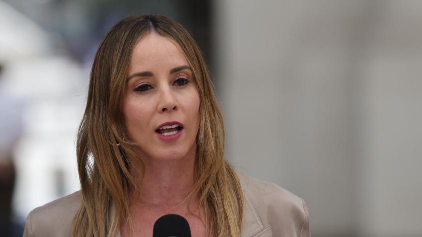 La respuesta de Sedini a las críticas sobre su rol y la polémica por el "Estado en la quiebra"