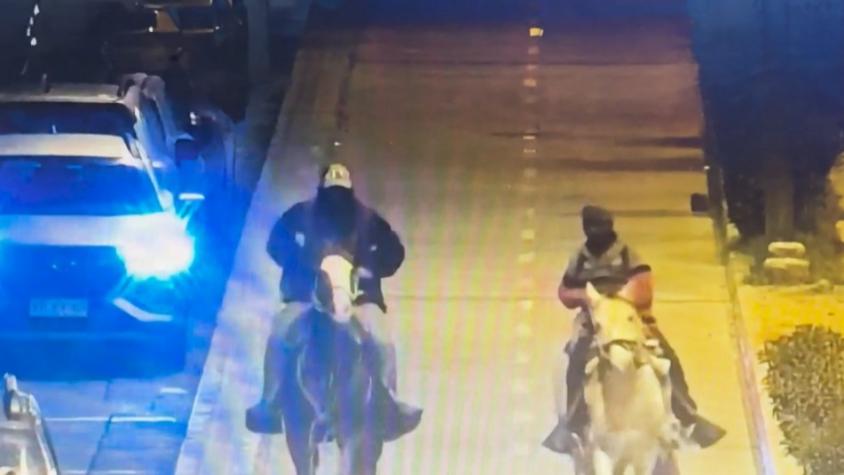 Hombre ebrio escapó de carabineros a caballo en La Serena