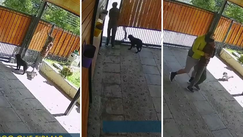 “Le traigo un pedido…”: Así opera la 'Banda del delivery' que hizo millonario y violento robo a adulta mayor en La Florida