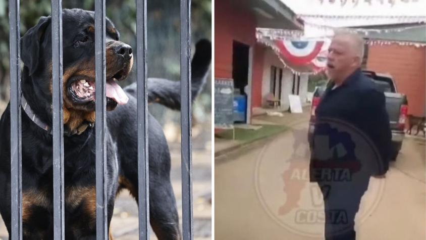 Preocupación por jauría de rottweilers que atacó a pareja: dueño sería “El Pistolero de Laguna Verde”