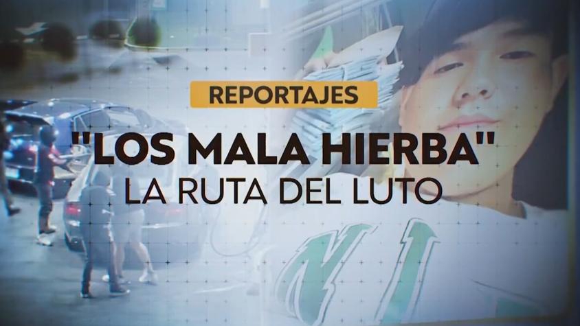 Reportajes T13: El ocaso de "Los mala hierba"; 5 muertos y varios detenidos