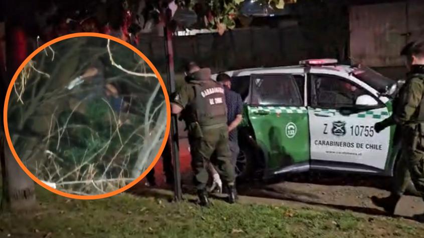Carabineros detuvo a delincuente que trepó árbol de 20 metros para evitar captura: un estornudo lo delató