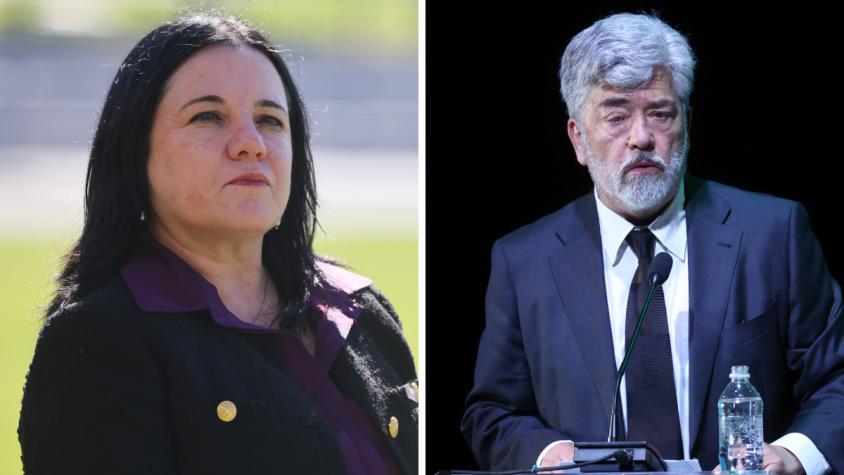 "Contrario al sentido común": Ministra Steinert responde a críticas del director del INDH por Ley Naín-Retamal 