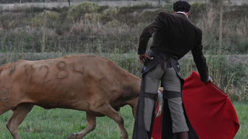Torero español en estado crítico tras caer a una trituradora