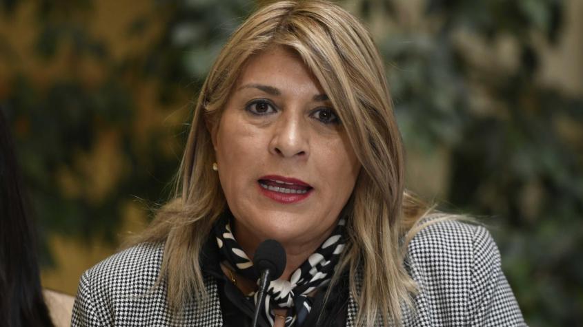 Diputada Parisi (PDG) ante críticas por acuerdo con el Gobierno: "Díganme vendida, a mí no me importa"
