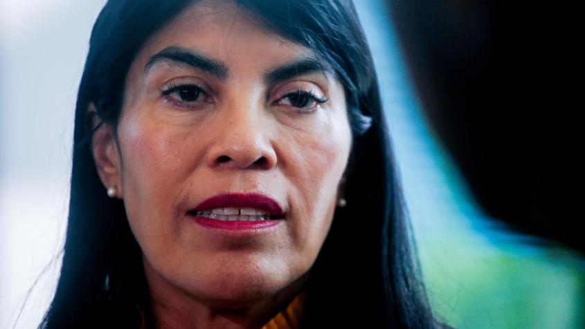 Diputados PS ingresan requerimiento a Contraloría por "omisión" de ministra Lincolao en declaración de intereses 