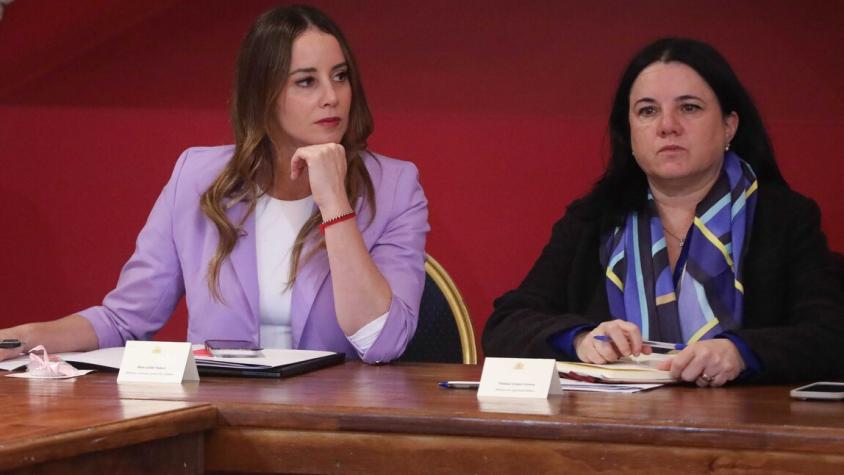 Presidente Kast realiza primer cambio de gabinete: Steinert y Sedini dejan el gobierno Presidente Kast realiza primer cambio de gabinete: Steinert y Sedini dejan el gobierno