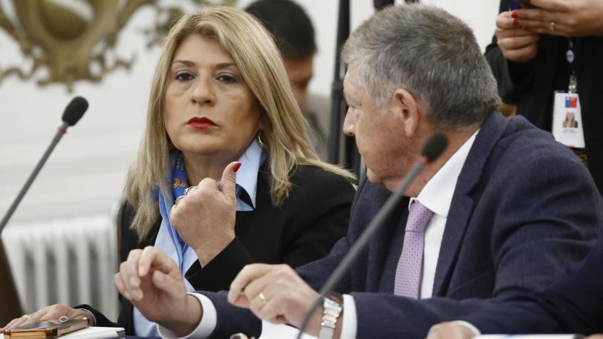 Ley de Reconstrucción Nacional: las 130 indicaciones ingresadas por la diputada Zandra Parisi