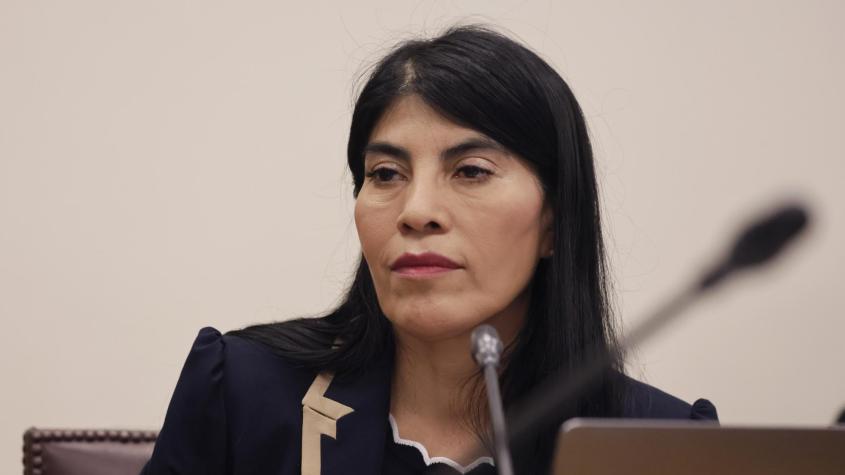 Lincolao asegura estar en un proceso de adaptación a la política chilena: "Estoy tratando de aprender lo más rápido posible"