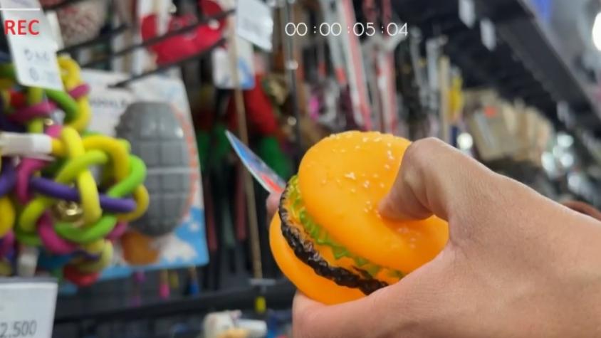 Lo barato cuesta caro: Juguetes para mascotas, esto es lo que debes saber