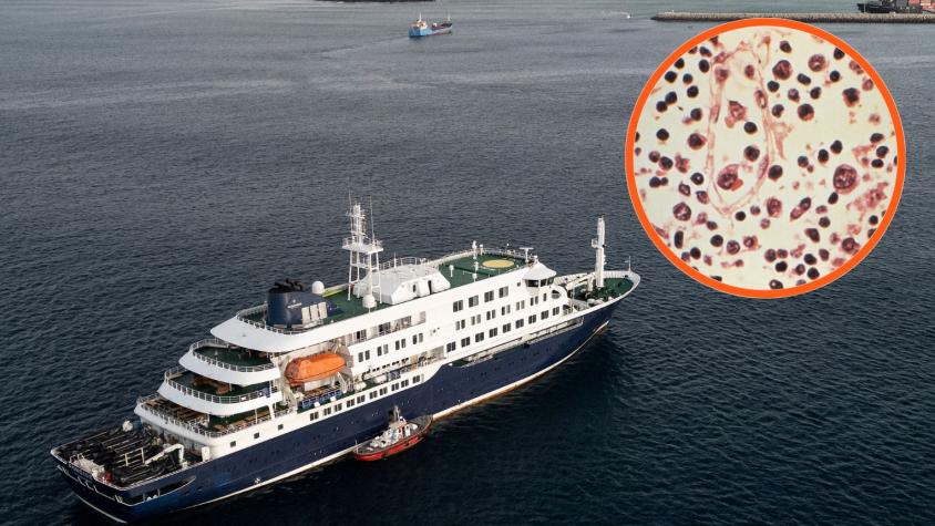 Brote de hantavirus en crucero: OMS "no cree" que foco sea similar al del inicio de la pandemia