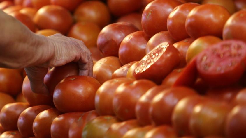 Presentan denuncia ante la FNE por precio de los tomates