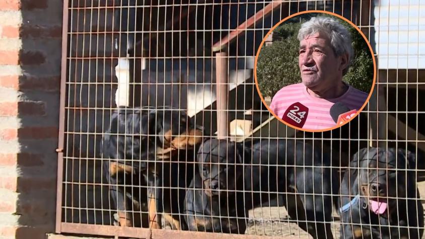 "Yo creo que mi taita no dura una semana": Las dramáticas declaraciones de hijo de adulto mayor atacado por jauría de Rottweiler