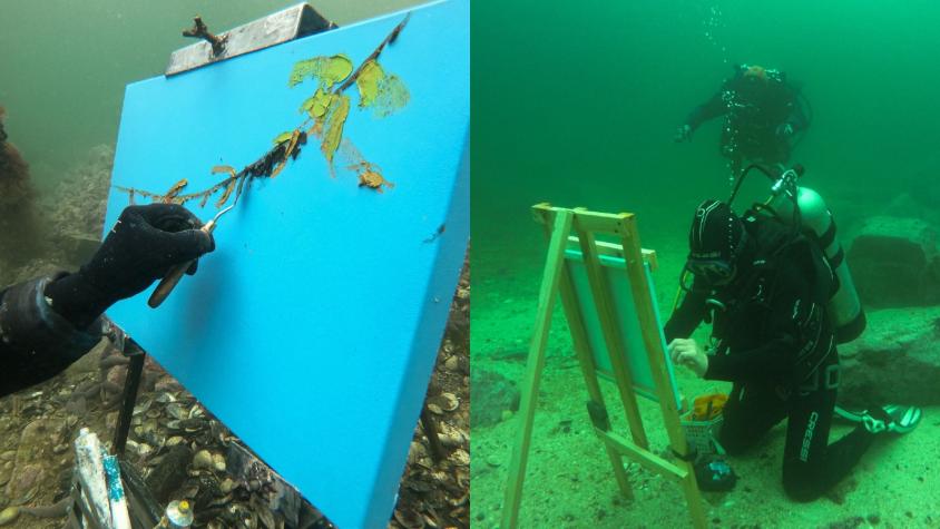 "Aysén, paisaje secreto", el proyecto que introduce la pintura subacuática como una práctica artística inédita en Chile