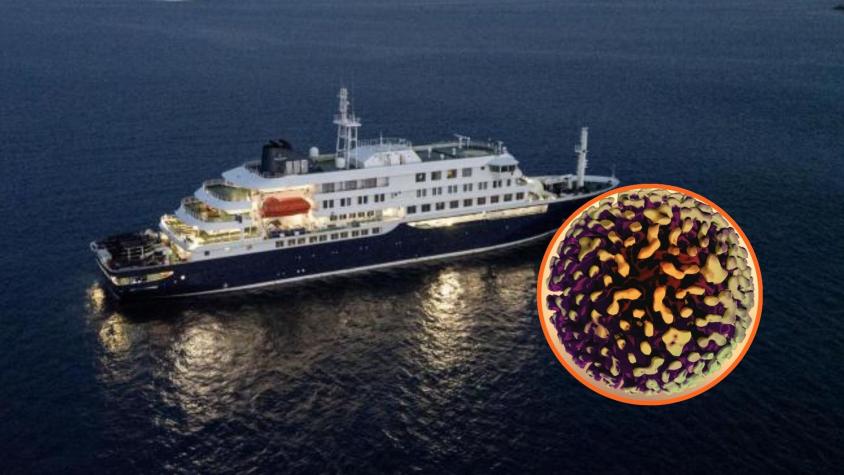 Pasajero del MV Hondius relató como se vivieron los primeros días en el crucero tras contagio de hantavirus