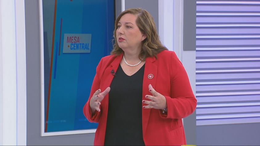 "Cero diálogo" y "gobierno sordo": Senadora Vodanovic (PS) lanzó duras críticas contra el Ejecutivo