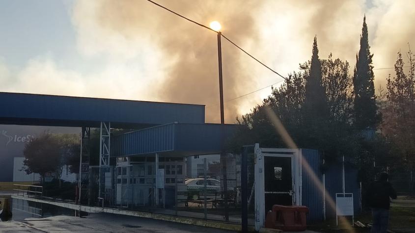 Tras incendio en frigorífico de Buin ¿Por qué es tan peligroso el amoniaco?