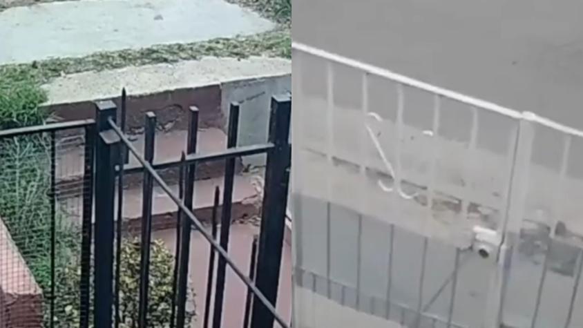 VIDEO | Los registros que dejó el temblor del 31 de mayo en la zona central VIDEO | Los registros que dejó el temblor del 31 de mayo en la zona central