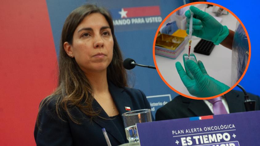 "Esto no es una pandemia": Minsal llama a la calma tras aislamiento preventivo de chilenos por hantavirus