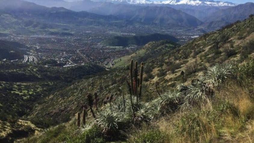Bomberos inicia búsqueda de tres personas extraviadas en cerro Maquehue