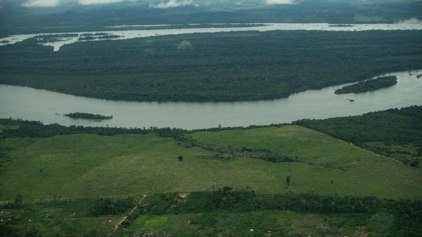 La Amazonia brasileña respira tras dos años de sequía severa