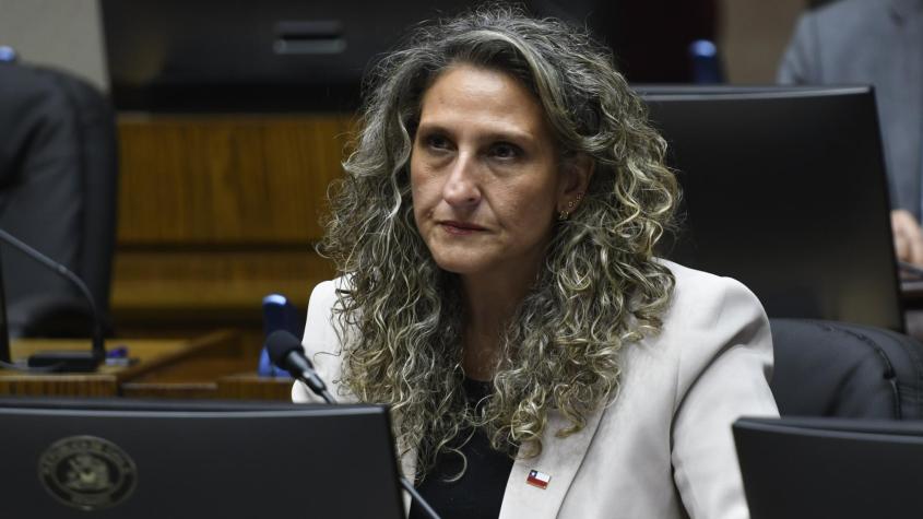 Exsubsecretaria Quintana acusa al gobierno de "falta de apoyo" a Steinert y apunta contra Alvarado por plan de seguridad: "Se le entregó"